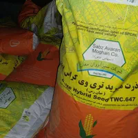 بذر ذرت ۶۴۷ دشت مغان|گل و گیاه طبیعی|مرودشت, شهرک مهدیه|دیوار