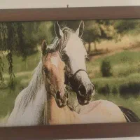 تابلو|تابلو، نقاشی، عکس|تربت‌حیدریه, ترمینال|دیوار