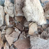 خریدار نان خشک