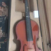 ویولون هافنر|ویولن|کاشمر, |دیوار