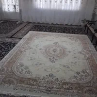 فرش|فرش|تهران, آذری|دیوار