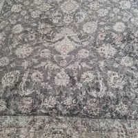 رو فرشی کش دار نو نو|روفرشی|بندرعباس, |دیوار