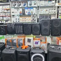 اسپیکر و باندخانگی