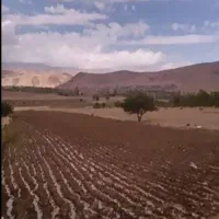 زمین