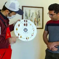 سمپاشی تضمینی|خدمات نظافت|شیراز, آزادی|دیوار