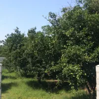 فروش زمین