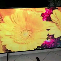 ال ای دی ۶۵ اینچ الجی نانوسل.سالم