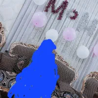 پرده پزیرایی|پرده، رانر، رومیزی|قم, شهرک امام حسین|دیوار