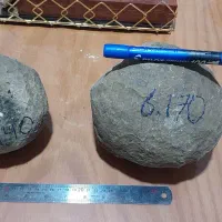 فسیل تخم دایناسور تضمینی