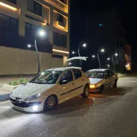 پنوماتیک پژو|قطعات یدکی و لوازم جانبی|رشت, جانبازان|دیوار