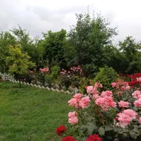 رهن-ویلا-باغ-1500-متری