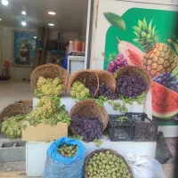 گردو و بادام پوست کنی حرفه ای سفید سفید بدون آب|خدمات باغبانی و درختکاری|شیراز, فرهنگ شهر|دیوار
