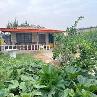 ویلا باغ به صورت روزانه اجاره داده میشود|اجارهٔ کوتاه‌مدت ویلا و باغ|نکا, |دیوار