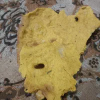 نان بربری آبی روغنی آتشی هیزمی شارژ شد