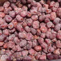 خرما مرداسنگ