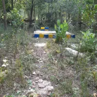 فروش زمین 300متری روستایی درلاهیجان|فروش زمین و ملک کلنگی|رودبنه, |دیوار