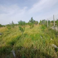 زمین-ویلایی-سند-تک-برگ