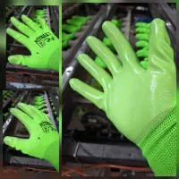 خرید مستقیم دستکش کار از تولیدی، نیتریل|ابزارآلات|تهران, گمرک|دیوار