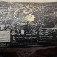 جفت ۹متری ۱۲۰۰شانه در حد نو فوری|فرش|مشهد, رضاشهر|دیوار