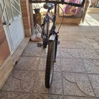 دوچرخه تنه 26