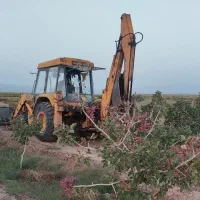 بیل بکو تی دی ال ۸۶
