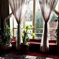 6-قصب-کلنگی-دو-کله-شهرک-مطهری-بلوار-ابوالفضل