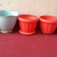 تعداد زیادی گلدان کاملا سالم بدون شکستگی
