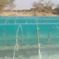 پلاستیک دست دوم فروشی