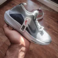 کفش جورابی|کیف، کفش، کمربند|دورود, |دیوار