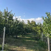 باغ سیب|فروش دفتر صنعتی، کشاورزی، تجاری|هشترود, |دیوار