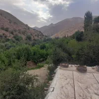 کارت ملی و شناسنامه گمشده
