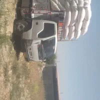 کاه گندم