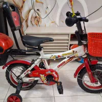 دوچرخه ۱۲ . .AnGryBIrDs .مدل