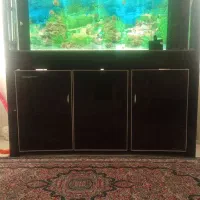 اکواریوم به همراه ماهی