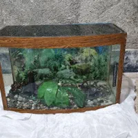 آکواریوم با دکور و تجهیزات کامل شیشه خم|ماهی|مشهد, نوید|دیوار