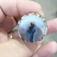 شجر طبیعی