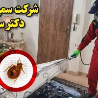 سمپاشی حرفه‌ای منزل و محل کار تشخیص رایگان آفت