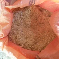 کاه تمیز امسال، شلیف گرفته شده ،کیلویی۱۸۰۰۰ تومان