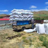 نیسان وانت|خودرو سواری و وانت|قروه, |دیوار