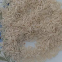 برنج هاشمی درجه ۱ ممتاز ۶۰ کیلو به فروش میرسد