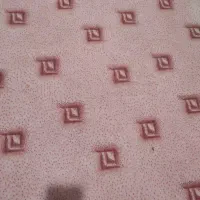 باسلام موکت دوازده متری سالم وتمیز
