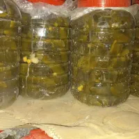 ارسال محصولات خانگی از همدان