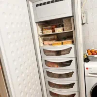 یخچال فریزر دوقلو الکترو استیل|یخچال و فریزر|شیراز, غدیر جنوبی|دیوار