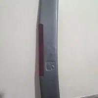 بال عقب پرشیا
