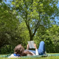مشاوره تحصیلی ،مشاورکنکور ، نهایی،برنامه درسی