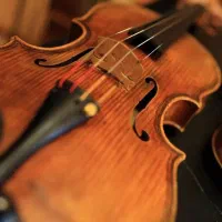 آموزش اصولی و حرفه ای ساز های ویولن و نی|خدمات آموزشی|نجفآباد, امیرآباد|دیوار