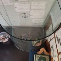 آکواریوم|ماهی|رشت, چمارسرا|دیوار