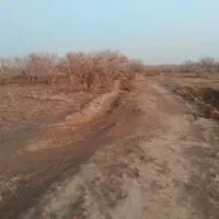 فروش ۶۴۱مترزمین مزروعی باموقعیت مناسب