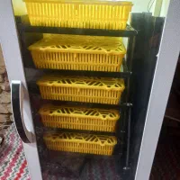 فروش دستگاه جوجه کشی ققنوس۲۱۰عددی