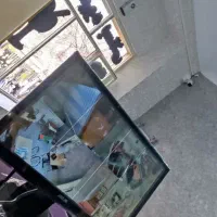 دوربین. مدار بسته. میکروفن دار دید درشب رنگی|دوربین مداربسته|تبریز, |دیوار